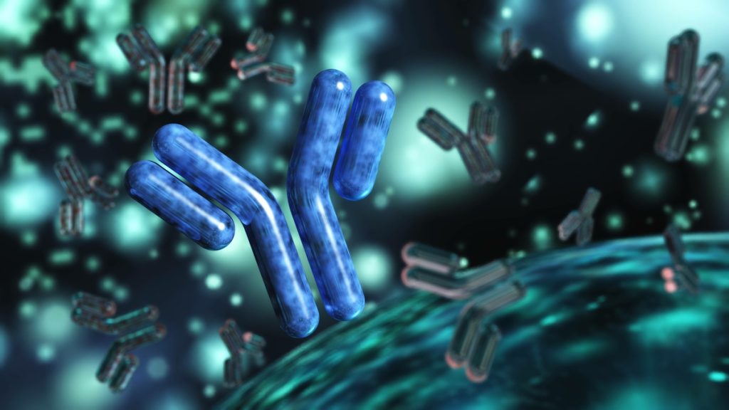 Proteine sistema immunitario